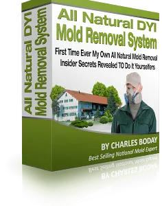 DIY Mold Removal Kit (Basic-Pro)