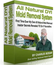 DIY Mold Removal Kit (Basic-Pro)
